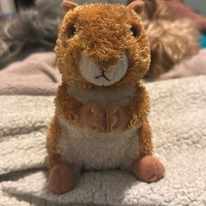 Brown little kids squirrel